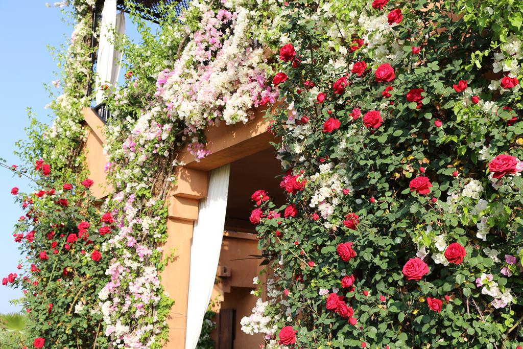 Riad Al Mendili Private Resort & Spa Had Abdallah Rhiat Exterior photo